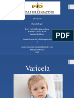 Presentacion Varicela