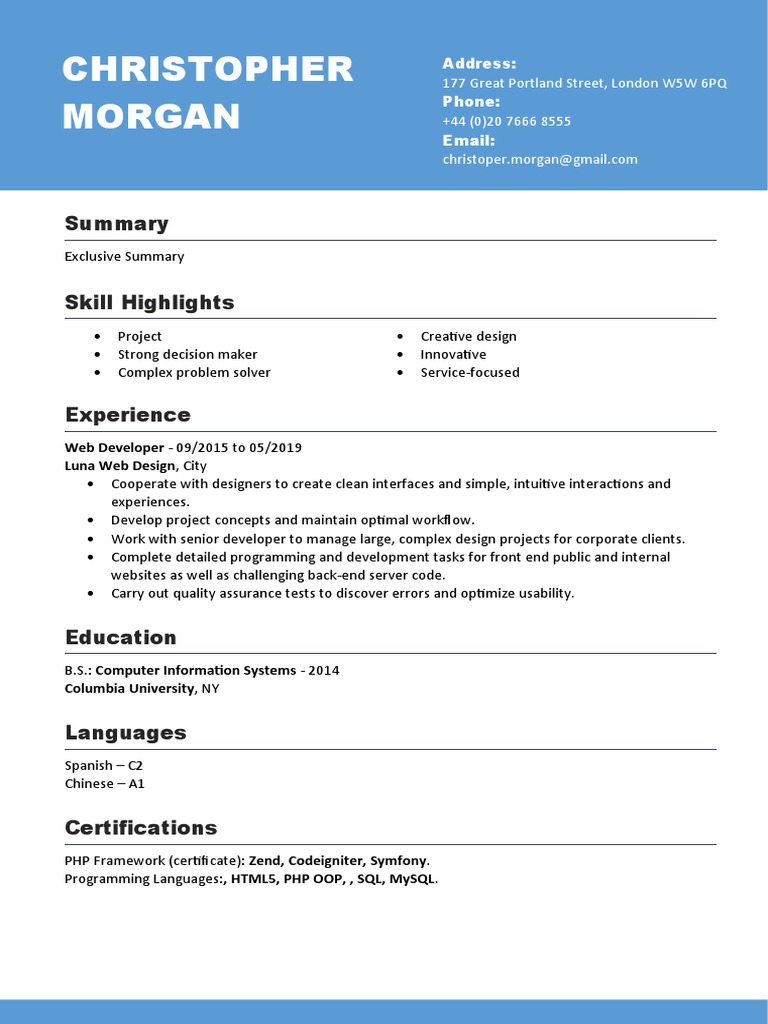 Modified CV for Web Developer Role | PDF | Business