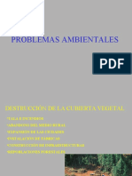 7 Problemasambientales 110505145257 Phpapp02