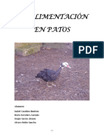 Trabajo Patos.pdf