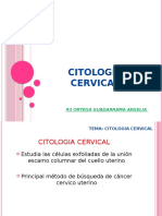 Citologia Cervical