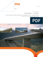 CHAMOA_P_PSIDP.pdf