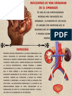 Ivu en El Embarazo