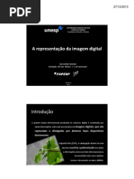 A representação da imagem digital