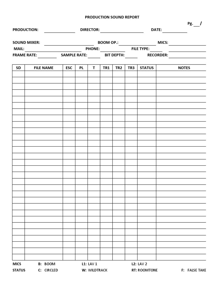 FORMATO REPORTE SONIDO
