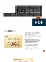 Adrenal