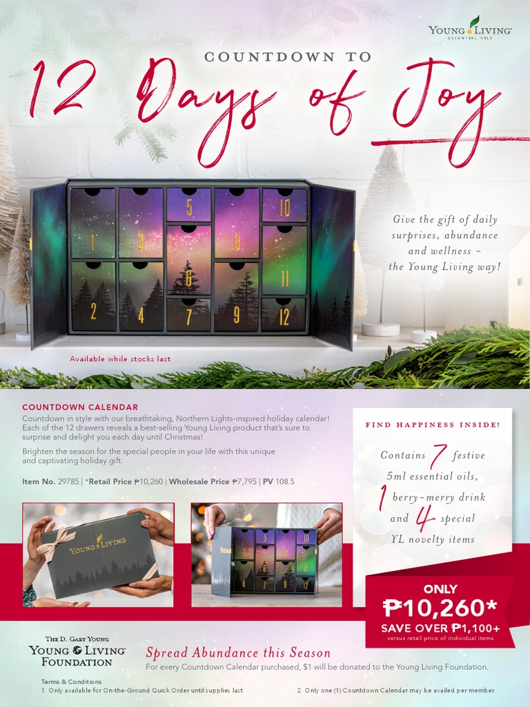 12 Days of Joy: Countdown To | PDF | Christmas | Marketing