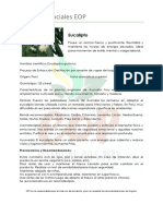 Aceites Esenciales - Eucalipto PDF
