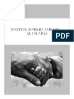 INSTITUCIONES-DEL-AMPARO-AL-INCAPAZ-D.I.P