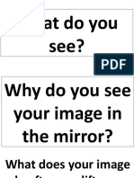 What You See in Mirrors Explained