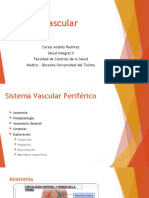 Clase Sistema Vascular