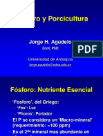 P y Porcicultura (completo) 2018.pdf