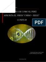 Un Esbozo de Cómo El Perú Afronta El Virus "Chino - Eeuu" Covit-19.