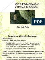 Parasitisme & Perkembangan Penyakit Bakteri Tumbuhan: Oleh:Irda Safni