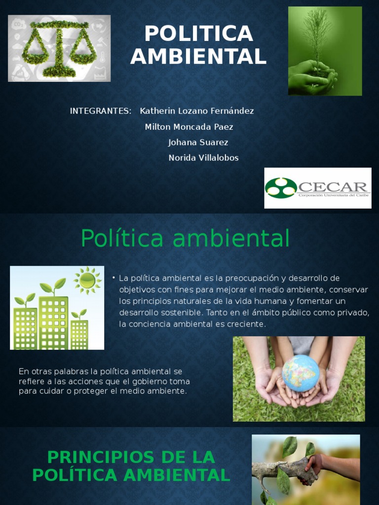 Principios y Ejemplos de Política Ambiental | PDF | Política de medio ...