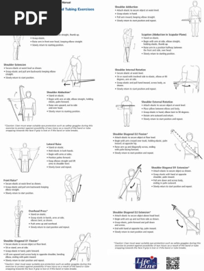 Theraband Exercise Pdf