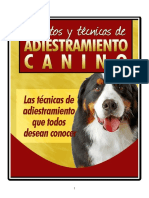 Adiestramiento Canino 1 - 5