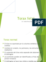Torax Fetal