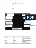 Assessment of The Neurologic System Quiz ALAIZA GANDA