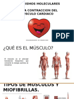 Bioquímica Cardiaca   2020  ebb
