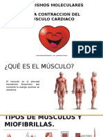 Bioquímica Cardiaca 2020 Ebb