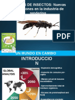 Harinas_de_insectos_nuevas_aplicaciones_en_la_industria_del_rendering.pdf