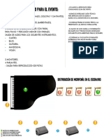 Ryder Técnico PDF