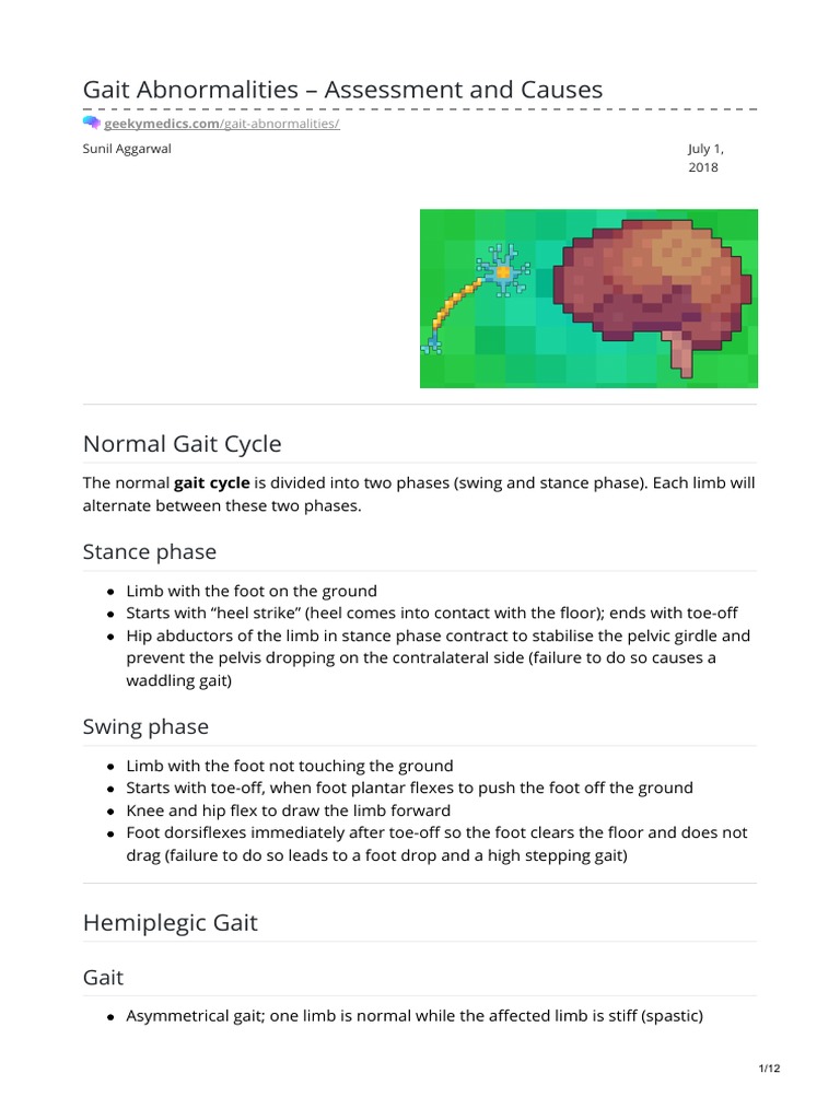 Gait Abnormalities: Assessment & Causes | PDF | Spinal Cord ...