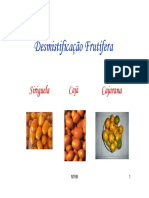 16711229-Desmistificacao-Frutifera.pdf