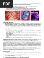 Download NEISSERIA GONORRHOEAE Gonococo by Jos Gabriel Quiroga Villagra SN45947700 doc pdf