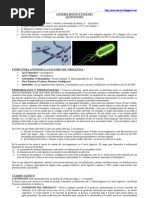 Download LISTERIA MONOCYTOGENES by Jos Gabriel Quiroga Villagra SN45949299 doc pdf