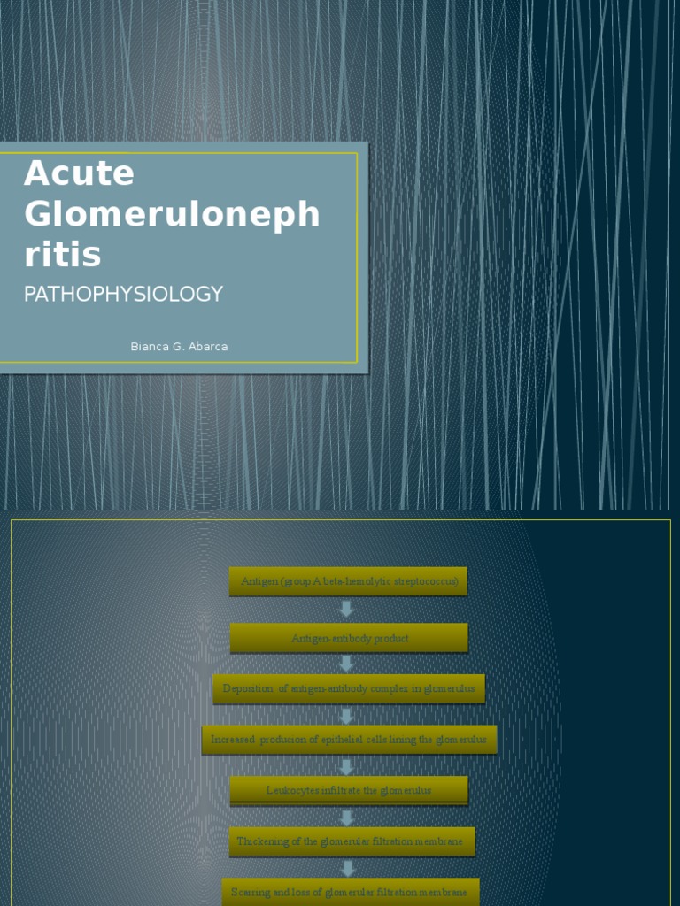 Acute Glomerulonephritis PATHO | PDF