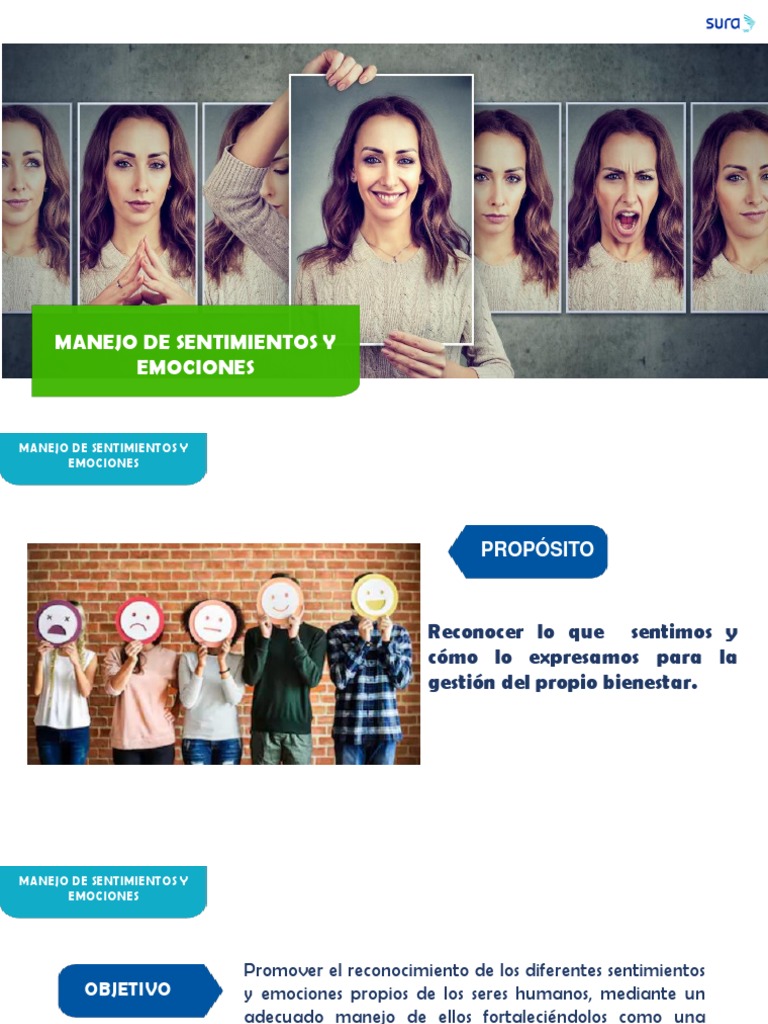 Manejo de Emociones y Sentimientos | PDF | Ira | Las emociones