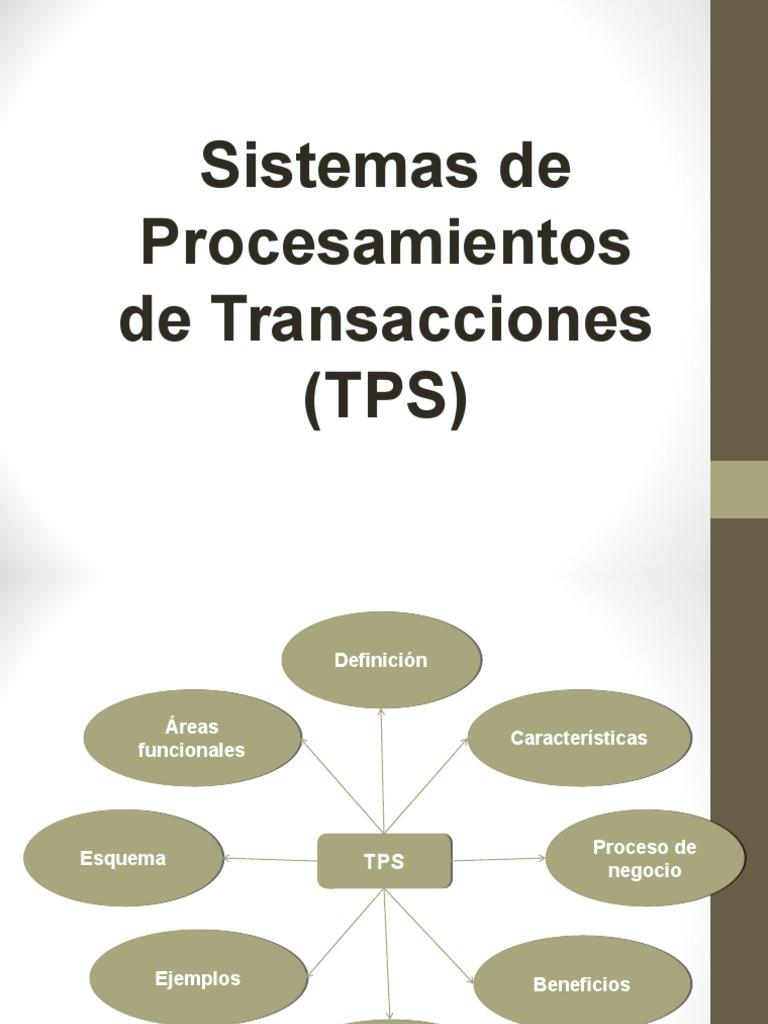 Sistema de Procesamiento de Transacciones PDF Procesos de negocio Salario