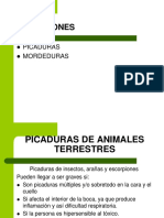 7-p-auxilios-picaduras-animales.pdf