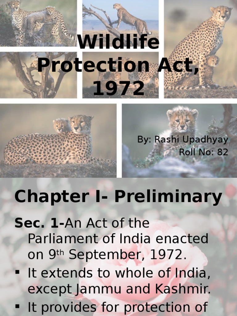 Wildlife Protection Act 1972 PDF