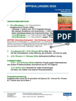 FISCHELMAIER Mitte 2020 PDF