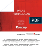 Palas PDF