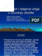 Katalizator I Njegova Uloga U Očuvanju Okoliša