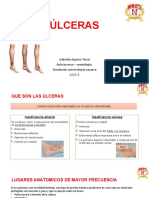 Úlceras 1