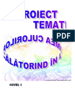 proiecttematicculori (2).doc