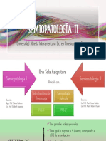 Semio 2 PDF