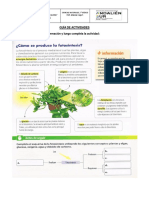 Guía de Actividades SEPTIMO AÑO Refuerzo Fotosíntesis CIENCIAS NATURALES PDF