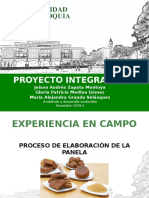 Proyecto Integrador