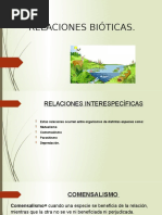 Mapa Conceptual Sobre Los Tipos de Ecosistemas | PDF | Tecnología