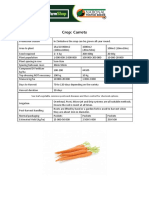 Crop: Carrots: See Leaf Vegetable Common Pests and Diseases and Their Control For Chemical Options