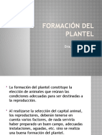 Formacion Del Plantel