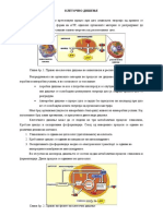 Дишење и ферментација кај растенијата