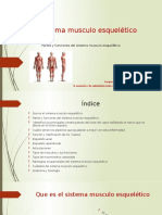 Sistema Musculo Esquelético