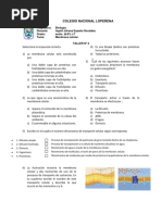 Lista de Precios Hugo | PDF
